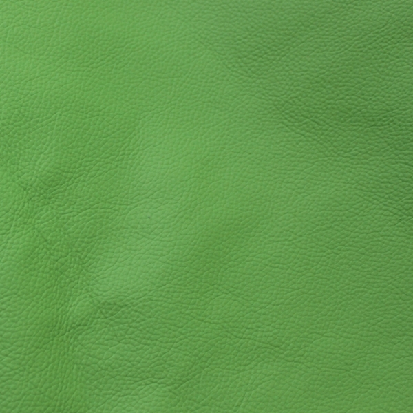 Leder helles apfelgrün